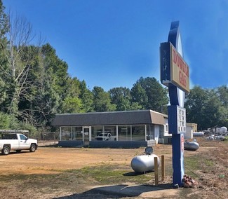 More details for 53682 Highway 17, Sulligent, AL - Land for Sale