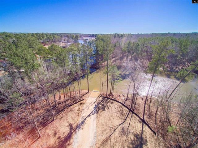 Red Star Rd., Leesville, SC for sale - Aerial - Image 2 of 11