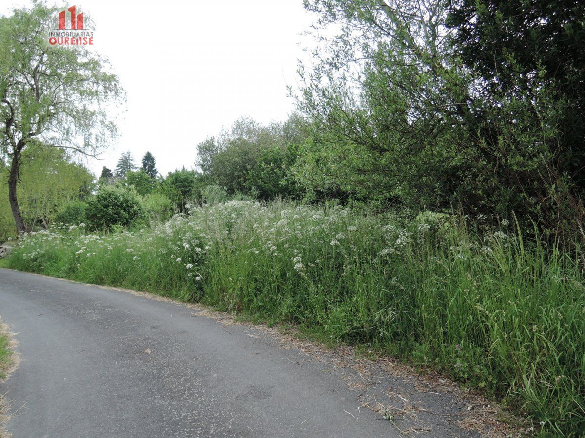 Terrain dans Amoeiro, Orense à vendre Plan de site- Image 1 de 7