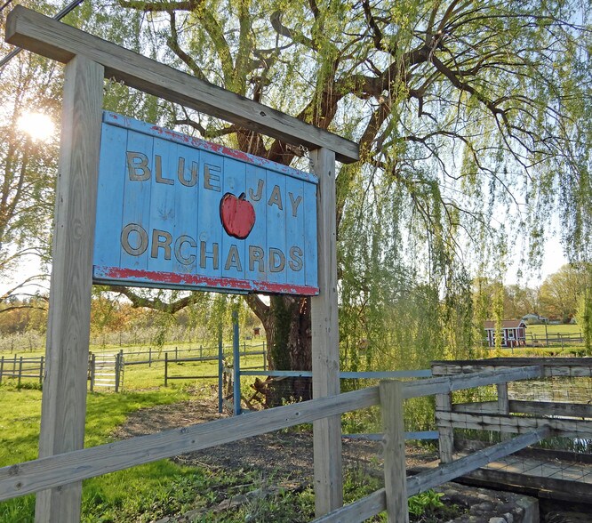 125 Plumtrees Rd, Bethel, CT for sale - Building Photo - Image 2 of 10