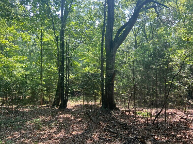 Terry Shop Rd, Fountain Inn, SC à vendre - Photo principale - Image 1 de 17