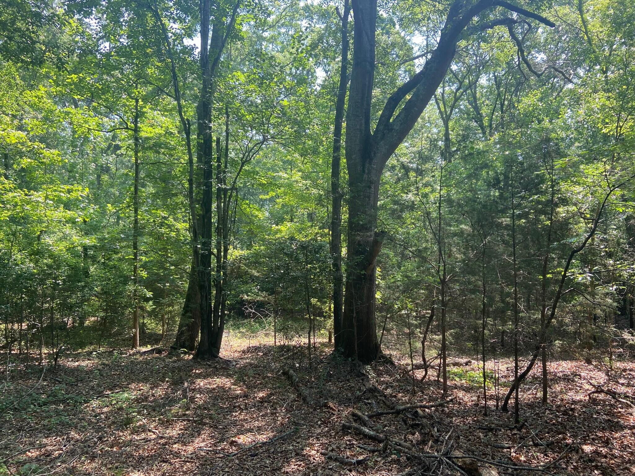 Terry Shop Rd, Fountain Inn, SC for sale Primary Photo- Image 1 of 18