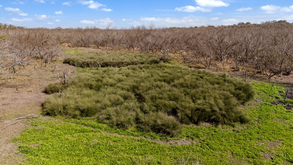 TBD County Road 4516, Hondo, TX à vendre - Photo principale - Image 1 de 20
