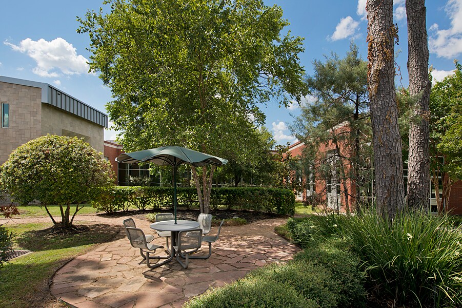 411 Lantern Bend Dr, Houston, TX à louer Photo principale- Image 1 de 31