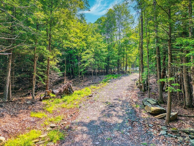 Boulder Brook Rd, Windham, NY à vendre - Photo du bâtiment - Image 3 de 28
