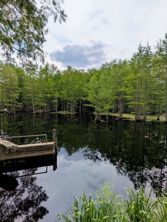 More details for Balfour Road & McNeill Lake Rd, Lumber Bridge, NC - Land for Sale