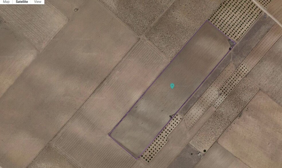 Sin Calle, Yecla, Murcia for sale - Floor Plan - Image 1 of 2