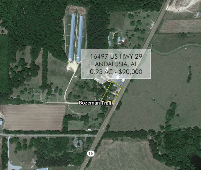 16497 US 29, Andalusia, AL à vendre Photo principale- Image 1 de 2