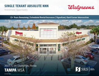 Plus de détails pour 36515 State Road 54, Zephyrhills, FL - Commerce de détail à vendre