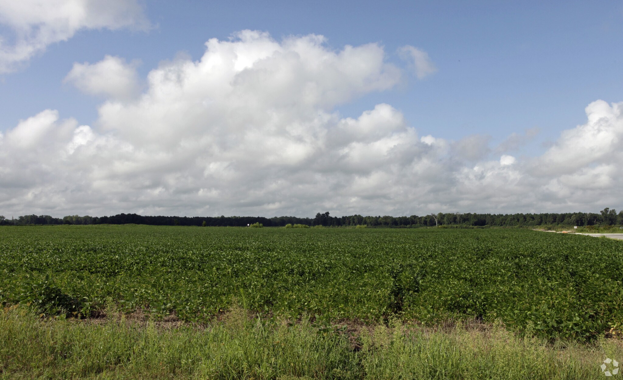Benns Church Blvd, Smithfield, VA à vendre Photo principale- Image 1 de 2