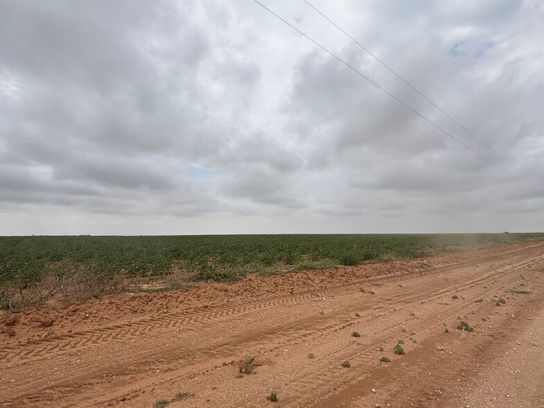 CR 8 and CR 11, Tahoka, TX à vendre - Photo principale - Image 1 de 6