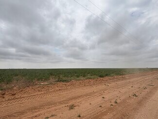 Plus de détails pour CR 8 and CR 11, Tahoka, TX - Terrain à vendre