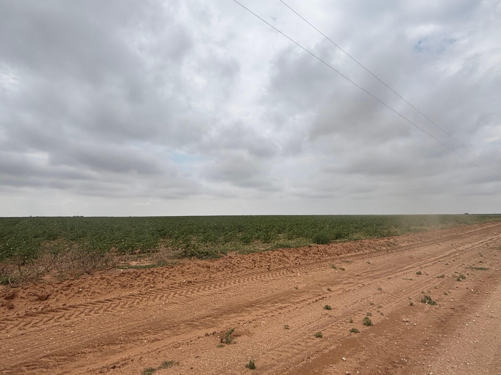 CR 8 and CR 11, Tahoka, TX for sale Other- Image 1 of 7