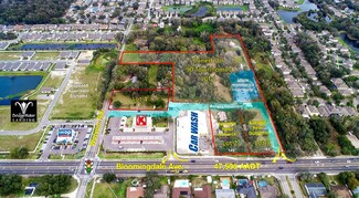 Plus de détails pour 11400 Bloomingdale Ave, Riverview, FL - Terrain à vendre