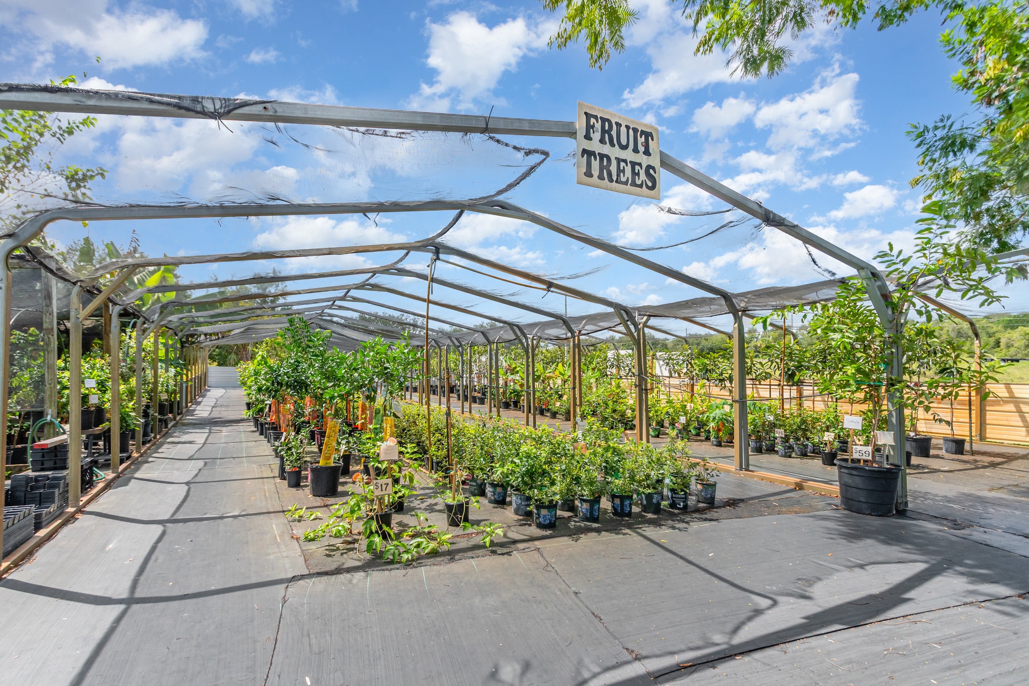 155 11th Ave, Osteen, FL for sale Primary Photo- Image 1 of 41