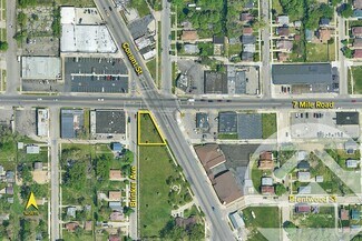 More details for 2904 E 7 Mile Rd, Detroit, MI - Land for Sale