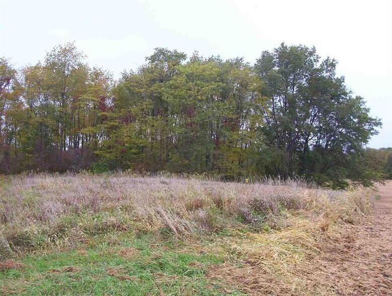 210th Street Northeast, Solon, IA for sale - Other - Image 2 of 8