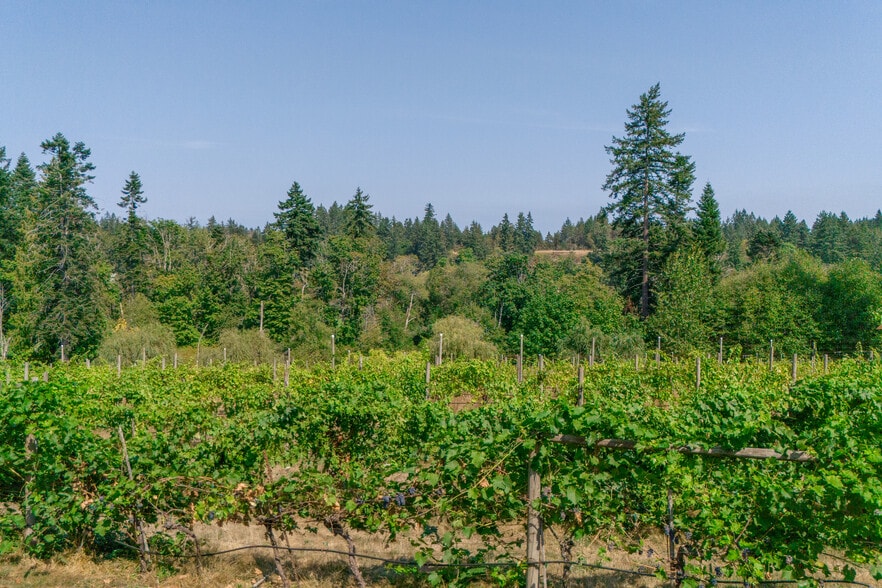 2300 E Wellington Rd, Nanaimo, BC for sale - Building Photo - Image 3 of 71