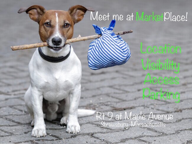 Plus de détails pour 380 Maple Ave, Shrewsbury, MA - Commerce de détail à louer