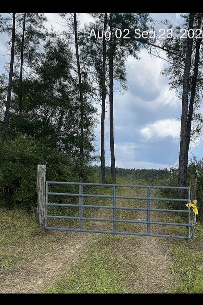 More details for 1520 Co 181 Rd, Westville, FL - Land for Sale