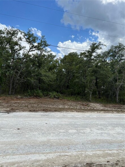 Sage Thrasher Avenue, Weeki Wachee, FL for sale - Other - Image 2 of 6