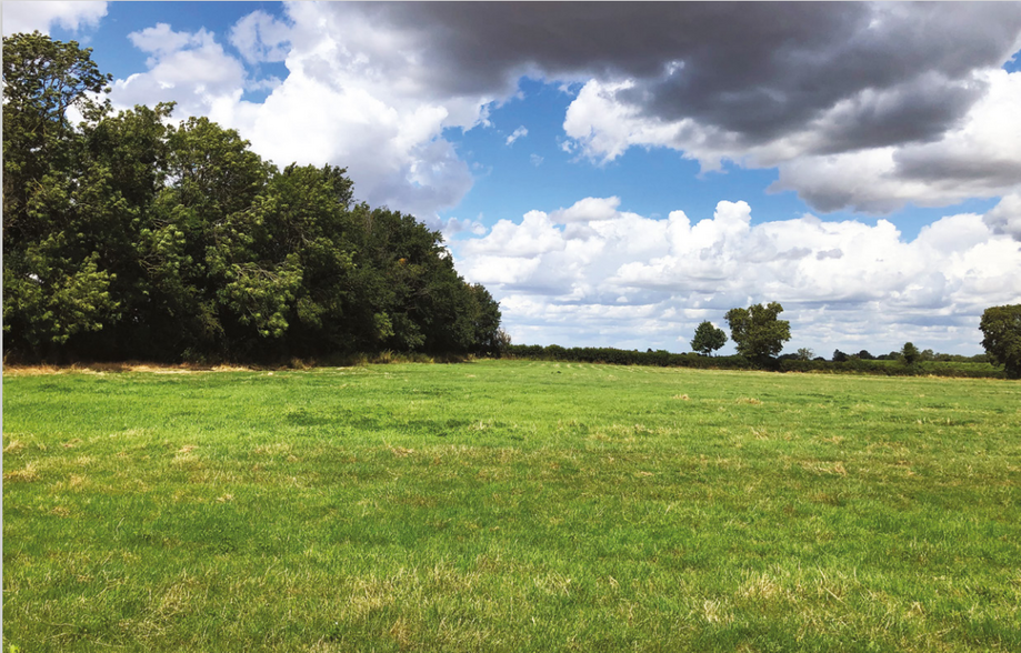 Meadow Drift, Cambridge à vendre - Photo principale - Image 1 de 1