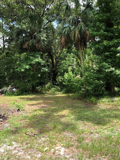 73 Hope Ln, Saint Marks, FL à vendre Photo principale- Image 1 de 18