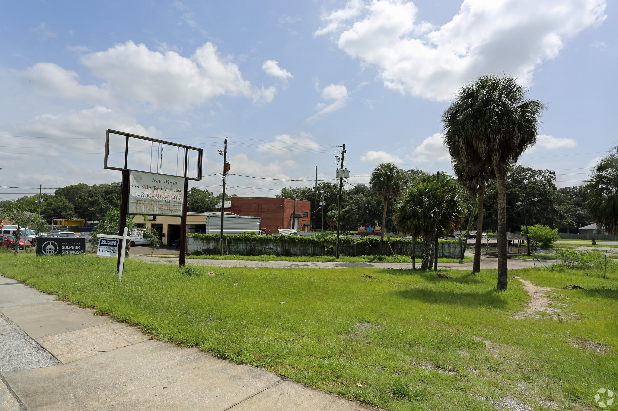 8001 N Nebraska Ave, Tampa, FL for sale Primary Photo- Image 1 of 1