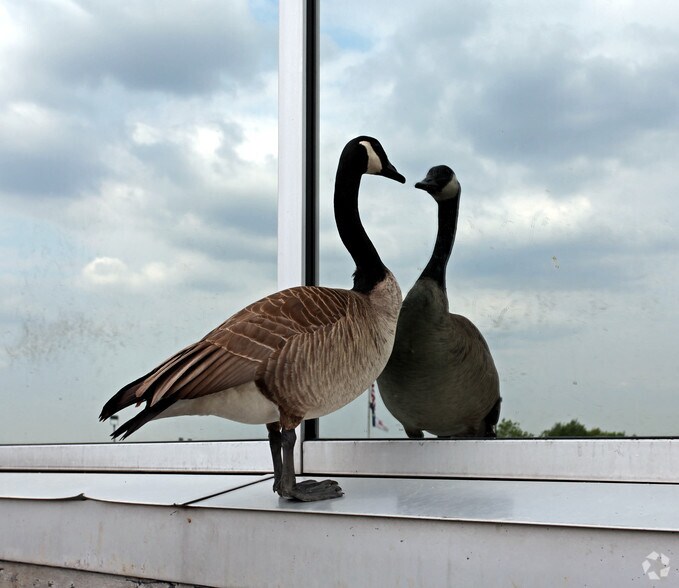 1300 E 104th St, Kansas City, MO à vendre - Photo du bâtiment - Image 2 de 10