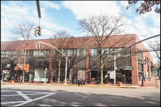 More details for 95-107 Middle Neck Rd, Great Neck, NY - Retail for Sale