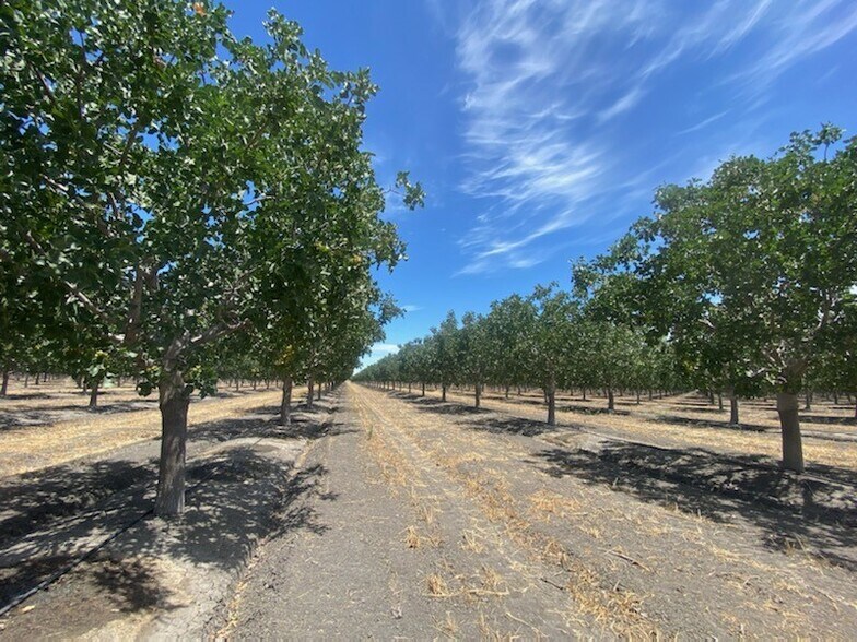 8307 S Contra Costa Rd, Tranquillity, CA à vendre - Photo du bâtiment - Image 2 de 3