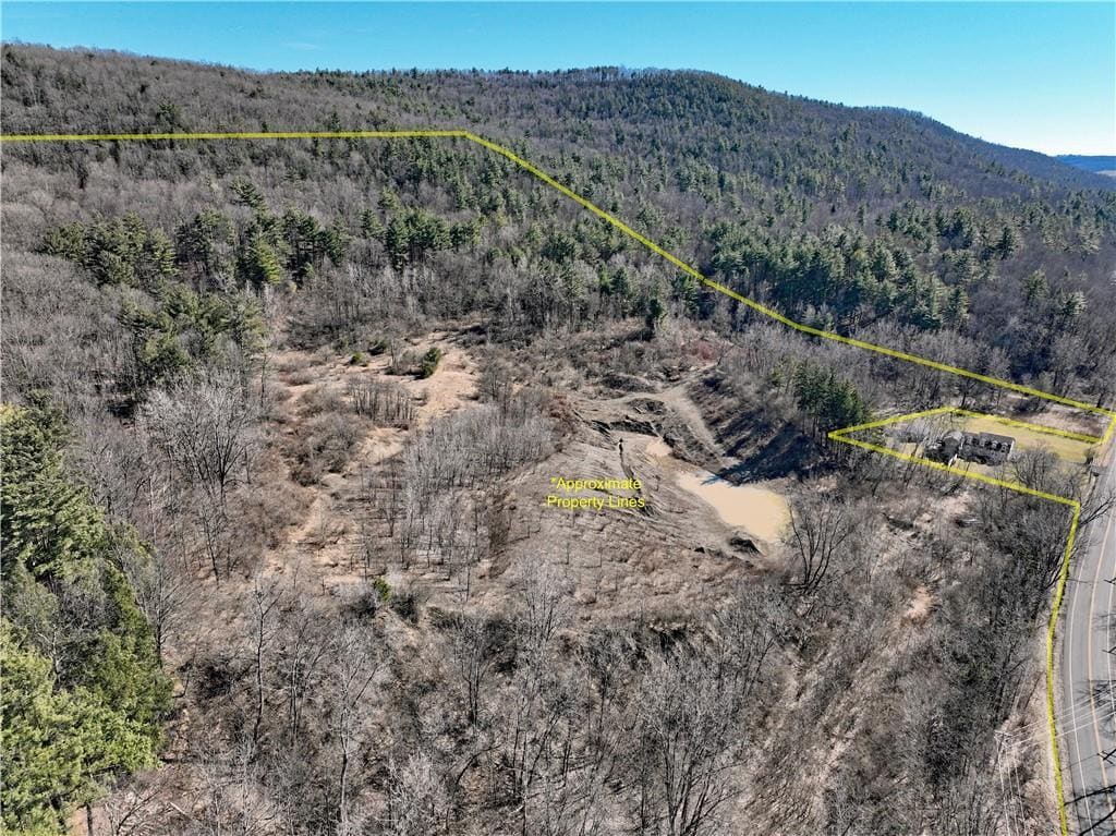 00 Pennsylvania Avenue Ave, Pine City, NY for sale Primary Photo- Image 1 of 8