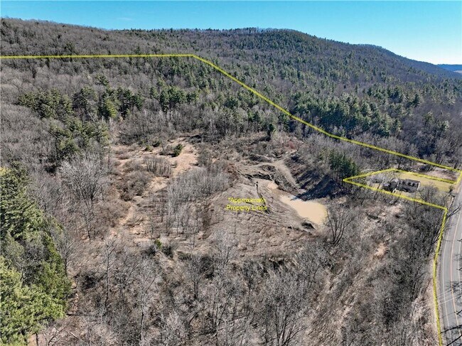 More details for 00 Pennsylvania Avenue Ave, Pine City, NY - Land for Sale