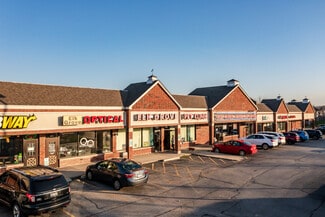 Plus de détails pour 601-633 Meacham Rd, Elk Grove Village, IL - Commerce de détail à louer