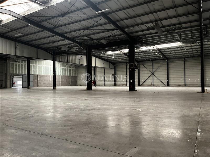Industrial in Geispolsheim for lease Building Photo- Image 1 of 8