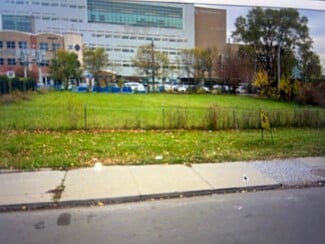 More details for 109-111 W Alexandrine St, Detroit, MI - Land for Sale