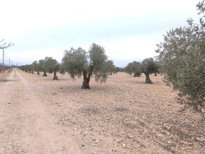 San José, Yecla, Ayuntamiento, MURCIA - AÉRIEN  Vue de la carte