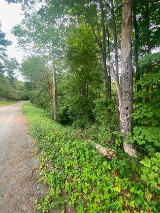 More details for New Hampshire Route 12, Westmoreland, NH - Land for Sale