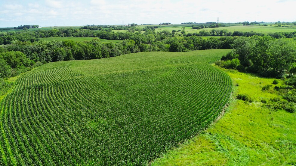 Badger Creek Road, Van Meter, IA à vendre - Photo du b timent - Image 3 de 35