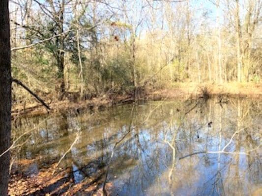 0 Oak Street, Selma, AL for sale - Building Photo - Image 3 of 8