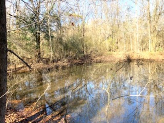 0 Oak Street, Selma, AL à vendre - Photo du bâtiment - Image 3 de 8
