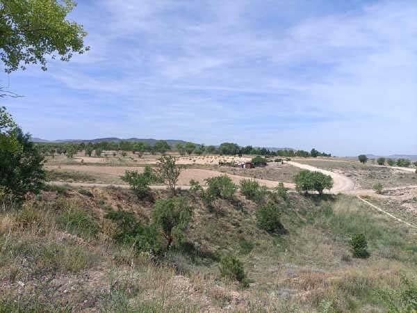 Calle Sierra de Armantes, 24, Calatayud, Zaragoza à vendre - Autre - Image 3 de 4
