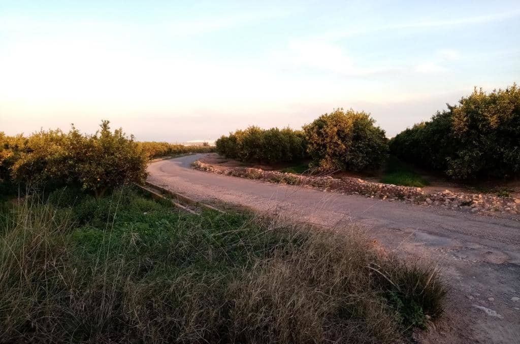 Land in La Vall d'Uixó, Castellón for sale Site Plan- Image 1 of 4