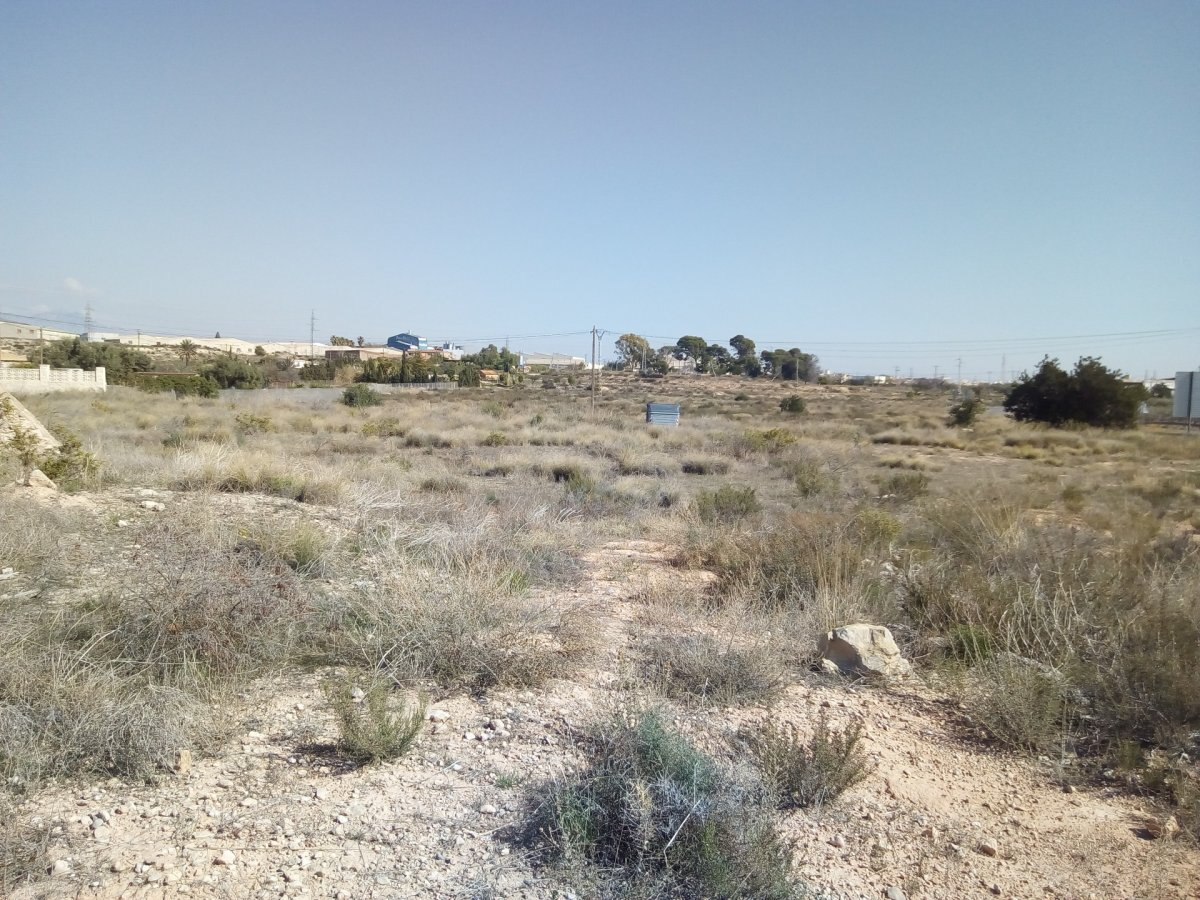 Terrain dans San Vicente del Raspeig, Alicante à vendre Plan d’étage- Image 1 de 3