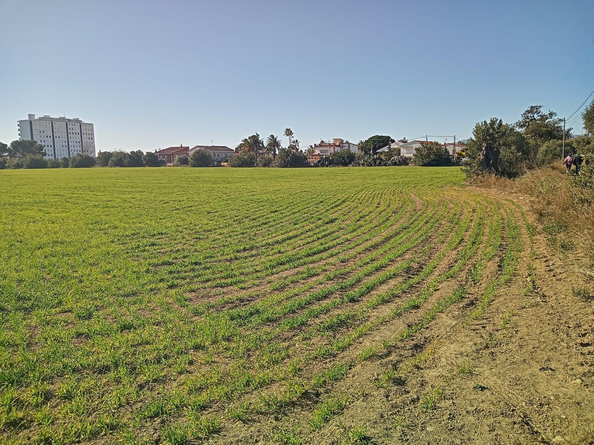 Carrer Poligono 21, 37, Cambrils, Tarragona à vendre Photo principale- Image 1 de 6