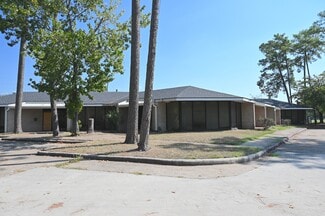 More details for 14423 Cornerstone Village Dr, Houston, TX - Office for Sale
