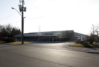 Plus de détails pour 1450 Caterpillar Rd, Mississauga, ON - Industriel à vendre