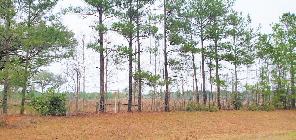 Highway 3226, Deridder, LA à vendre - Photo du bâtiment - Image 3 de 5