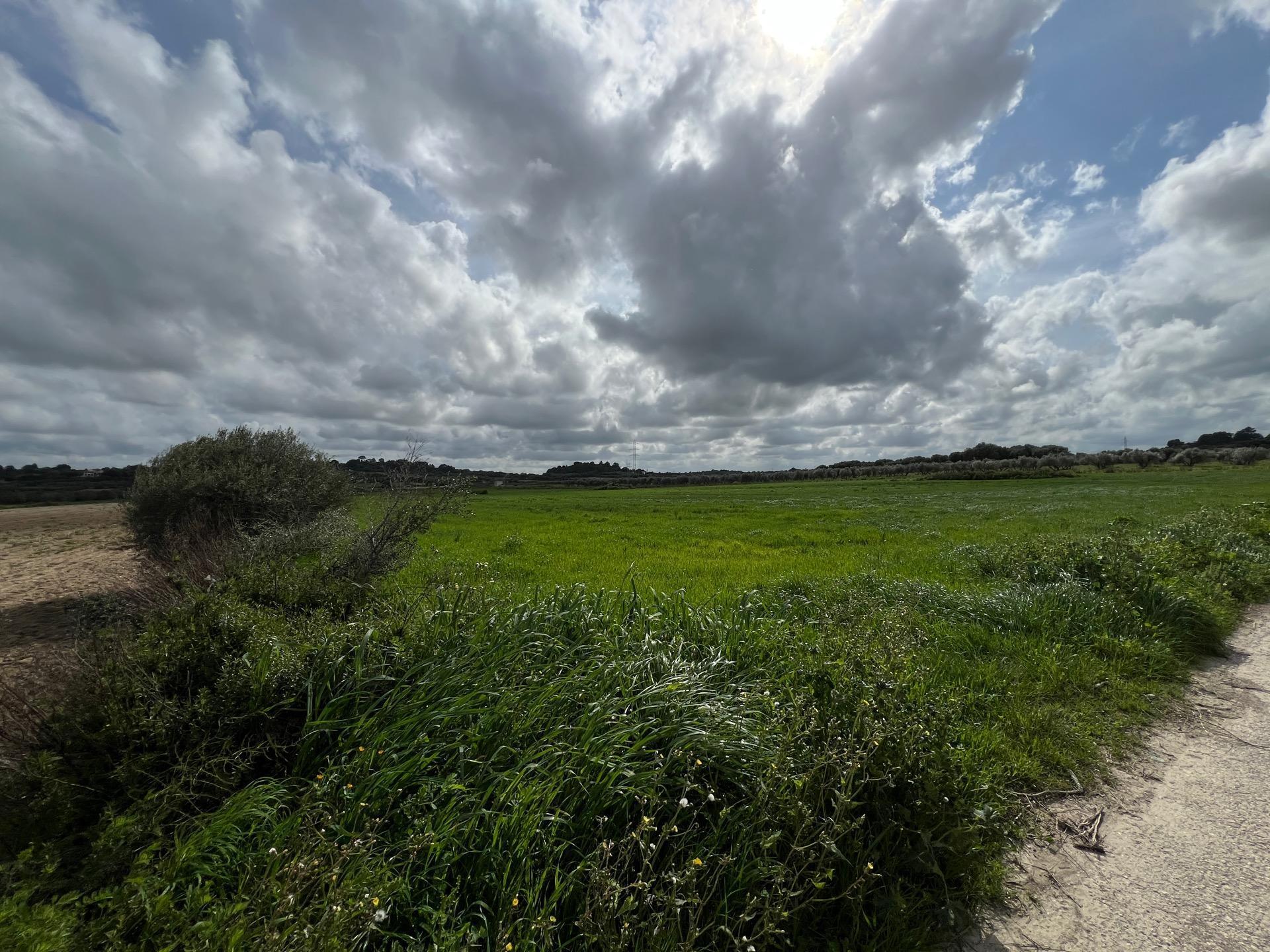 Carretera de Muro, 8, Sa Pobla, Islas Baleares à vendre Plan de site- Image 1 de 4