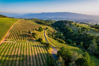 O Howell Mountain, Angwin, CA - AERIAL map view